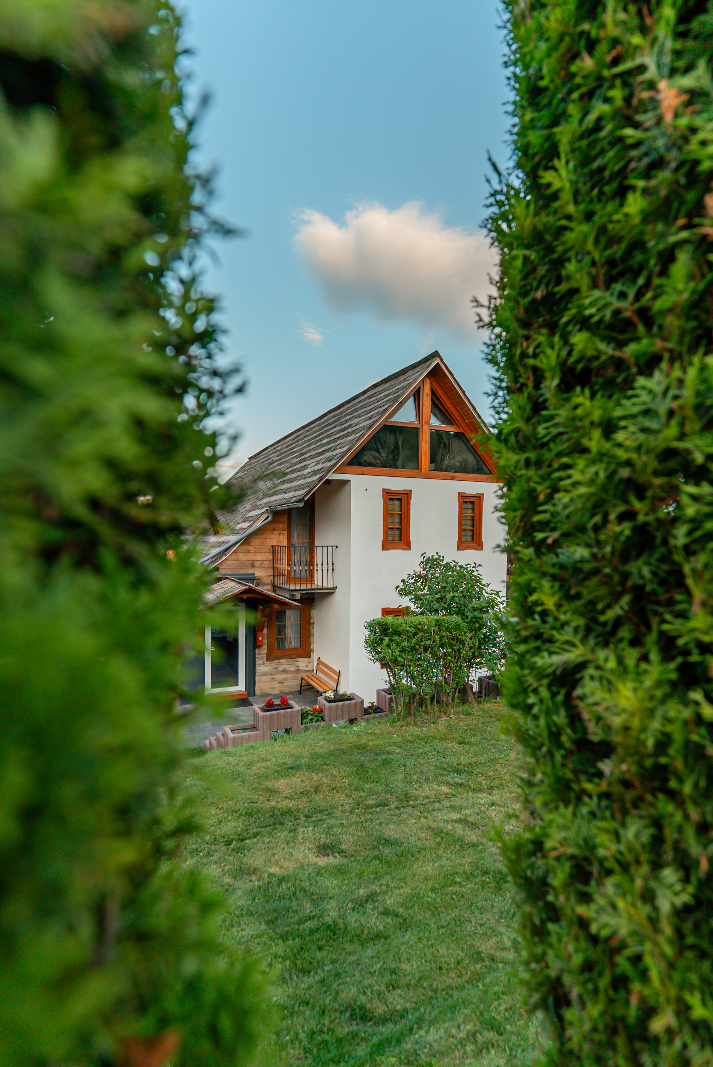 Casa cu Magnolii - Despre noi